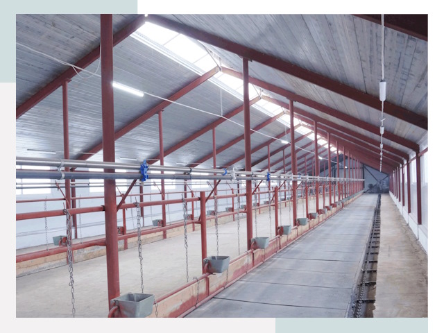 Строительство коровников в Усть-Илимске от 624 руб.