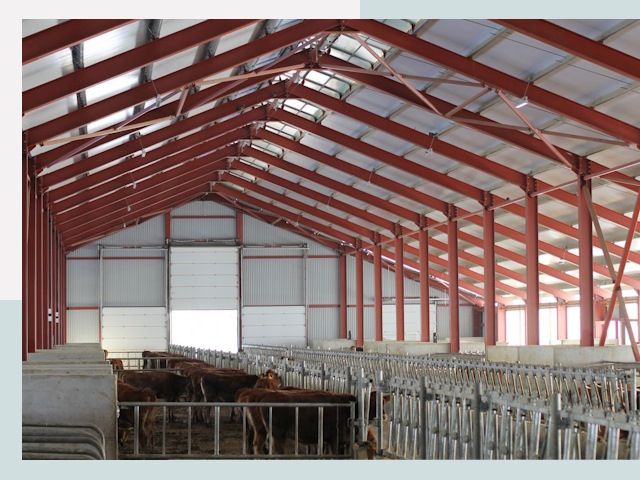 Строительство коровников в Усть-Илимске