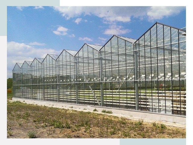 Строительство теплиц в Усть-Илимск от 624 руб. за м²