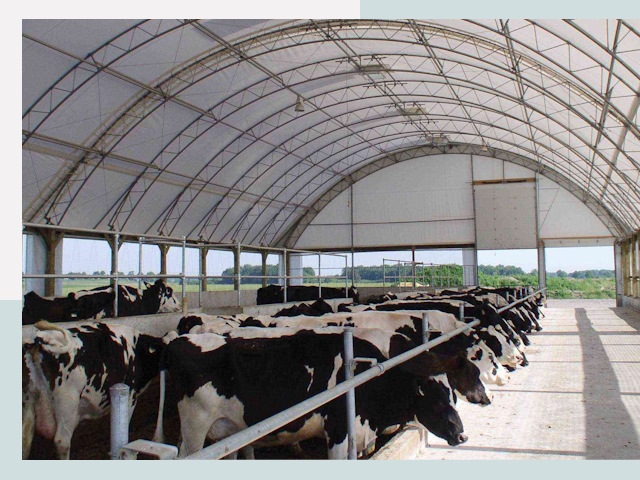 Тентовые коровники в Усть-Илимске